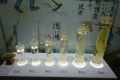 DSC07732.JPG